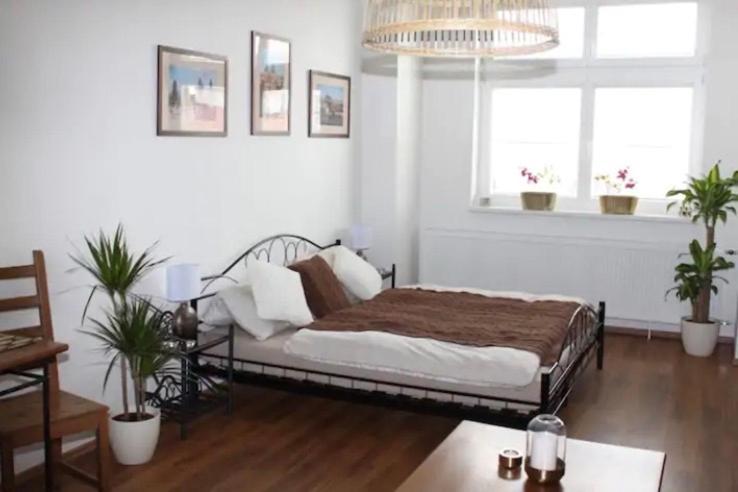 Lenka'S Cozy Red Studio + Lenka'S Cozy Gold Apartment Praga Esterno foto