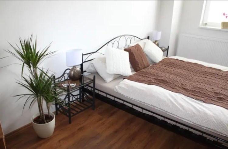 Lenka'S Cozy Red Studio + Lenka'S Cozy Gold Apartment Praga Esterno foto