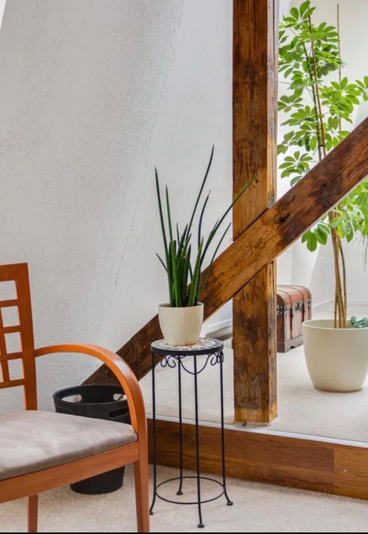 Lenka'S Cozy Red Studio + Lenka'S Cozy Gold Apartment Praga Esterno foto